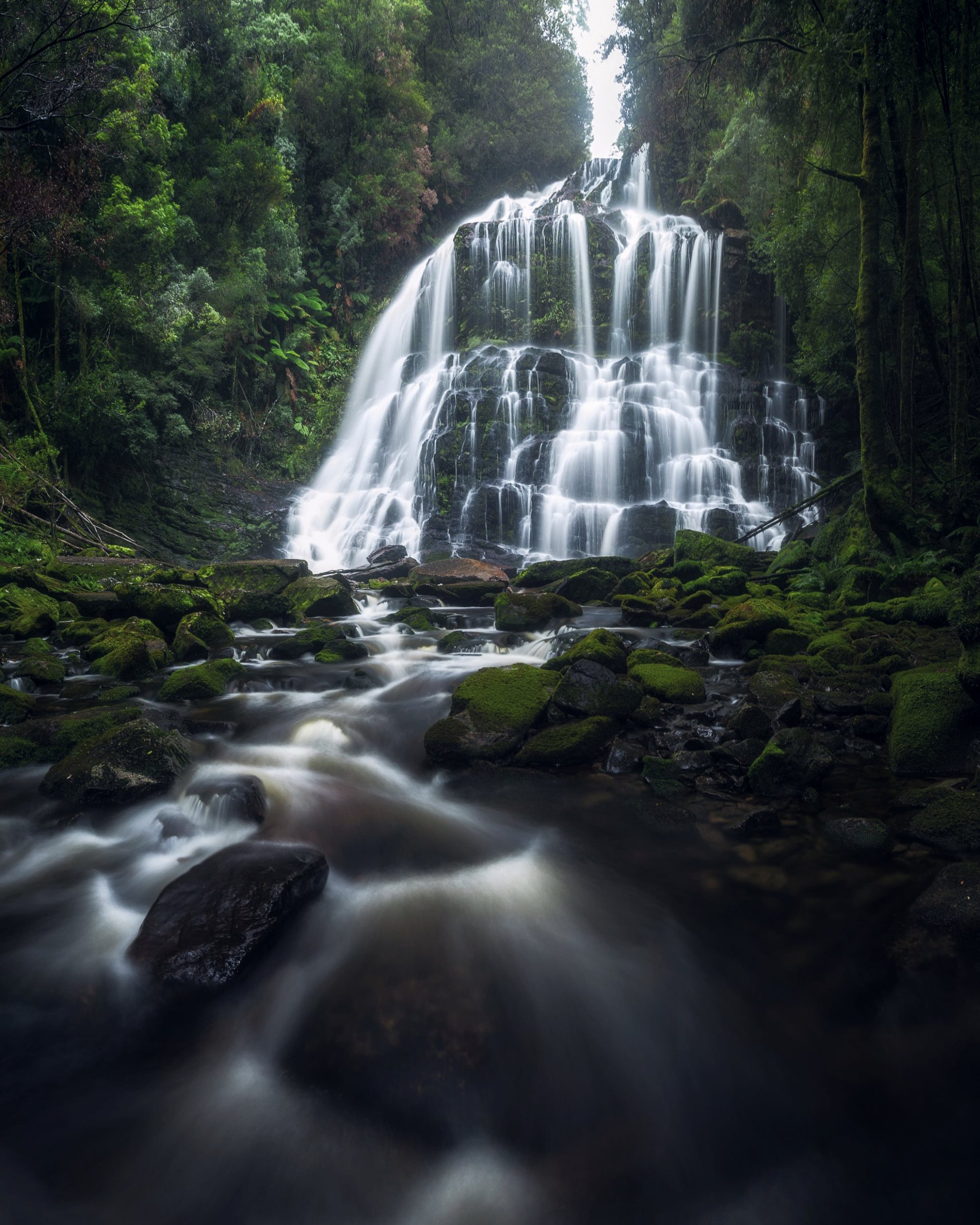 Waterfall in mossy Tasmanian rainforest